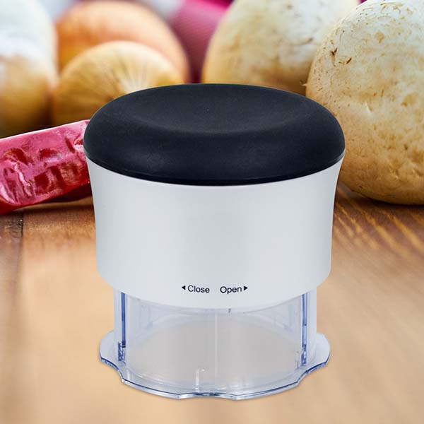 Handy Chopper Garlic press
