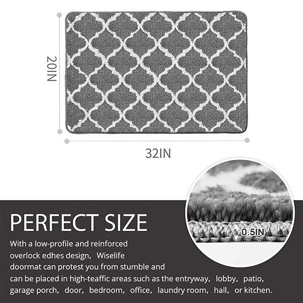 Front Door Rug 