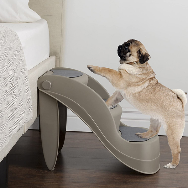  Dog Steps