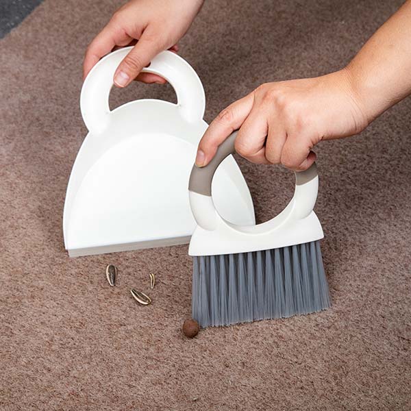 Mini Dust Pan and Brush