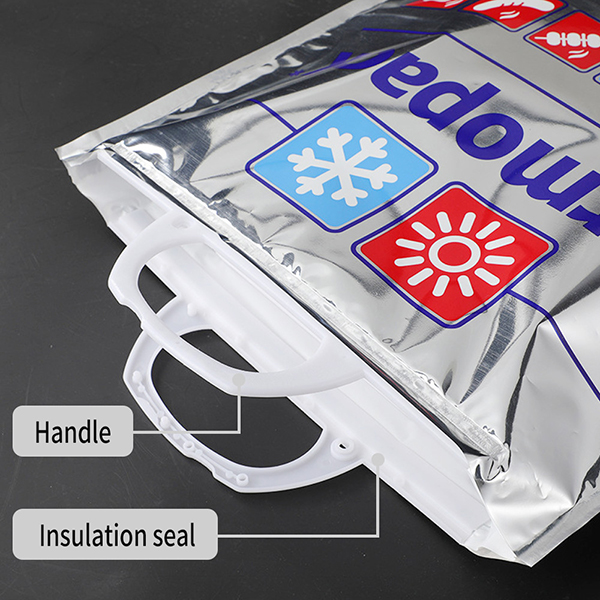 Insulated Picnic Shopping Cooler Bags