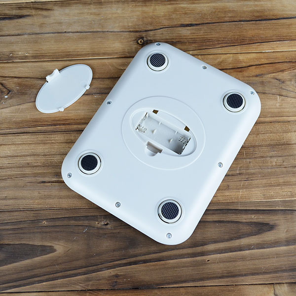Stainless Steel Electronoic Scale