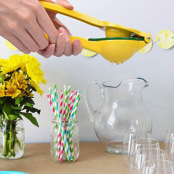 Maunal Juicer Citrus Lemon Squeezer