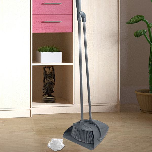 Dust Pan and Broom Set