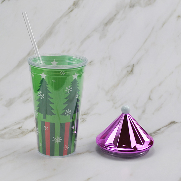 double wall tumbler with Straw Bottle 