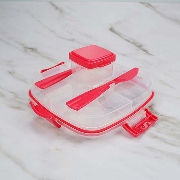  plastic Salad Food Storage Container