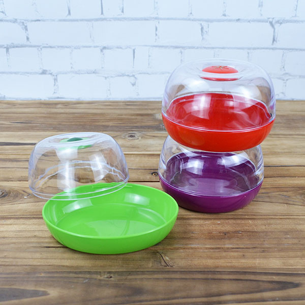 Fruit and Vegetable Preservation Box
