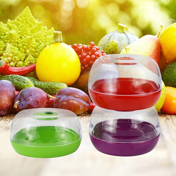 Fruit and Vegetable Preservation Box