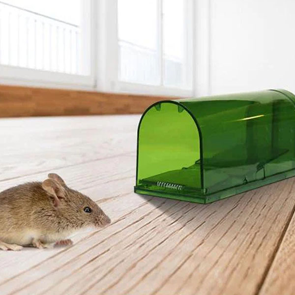 2 Packs Alive mouse trap