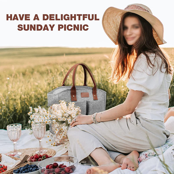 Insulated Thermal Lunch Tote Bag 