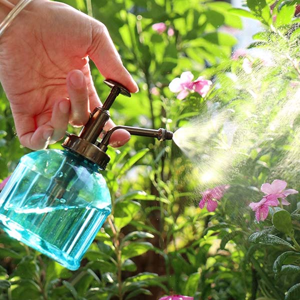 200ml Glass Plant Mister Spray Bottle