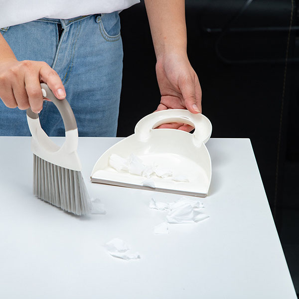 Mini Dust Pan and Brush