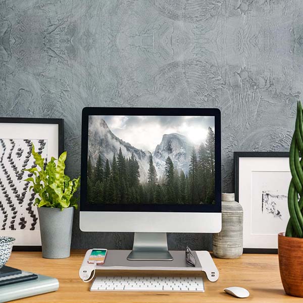 Monitor Stand with Usb Port Charging 