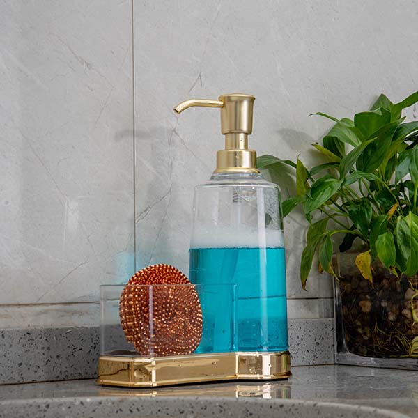 Hand soap dispenser with Sponge organizer