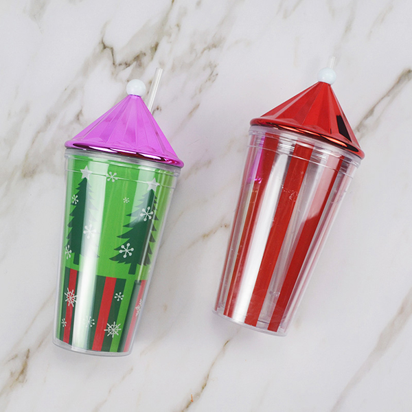 double wall tumbler with Straw Bottle 