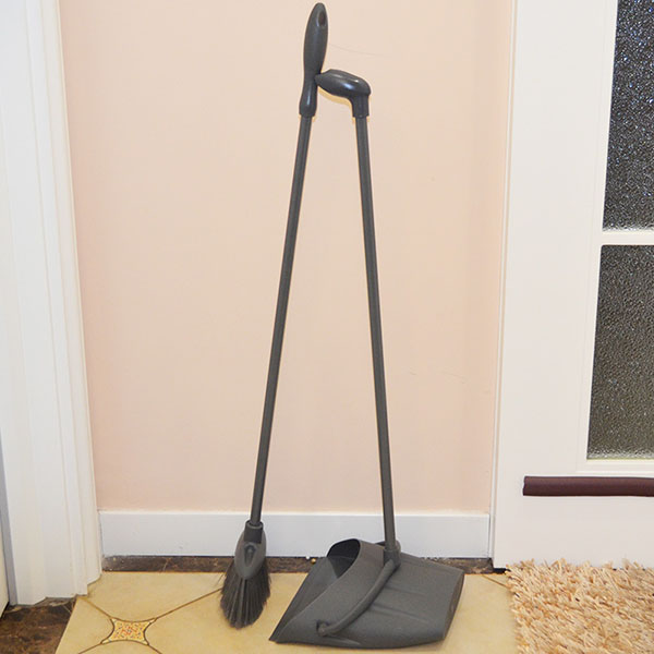 Dust Pan and Broom Set