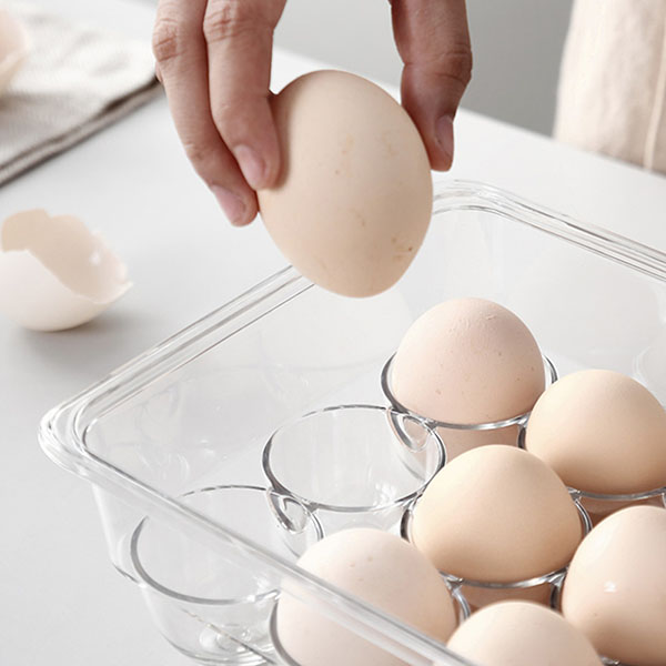 12Egg holder