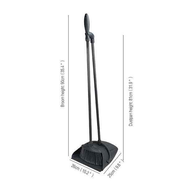 Dust Pan and Broom Set